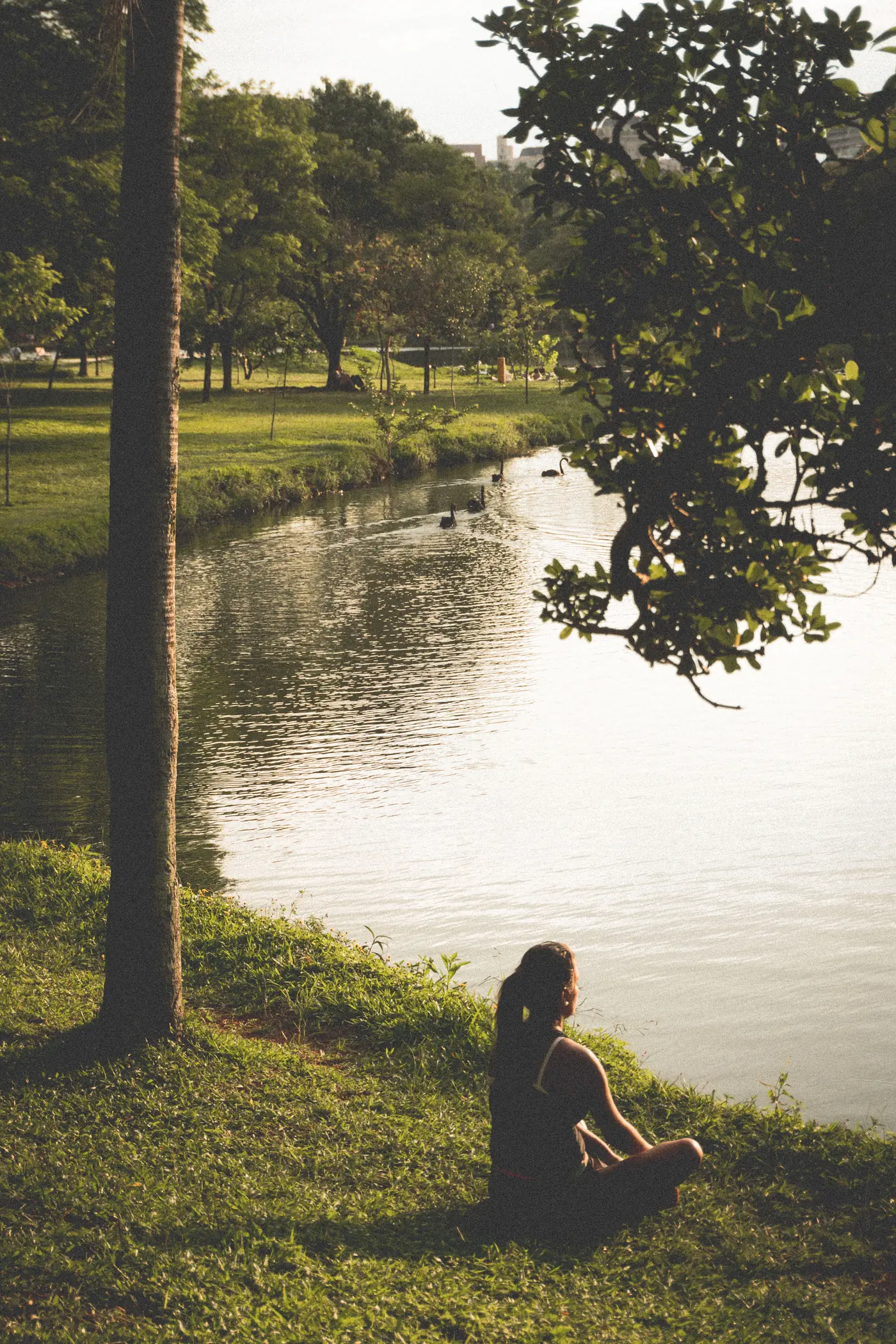 Woman sitting beside a pond in a green park