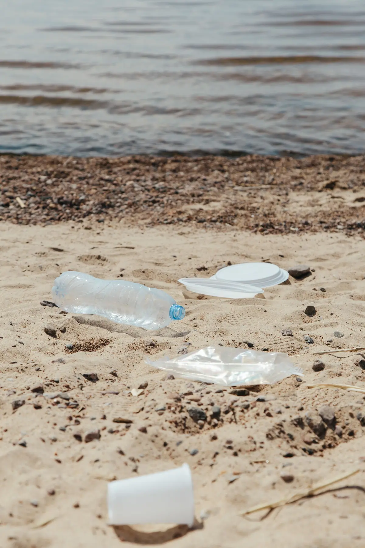 Plastic litter washed onto a beach