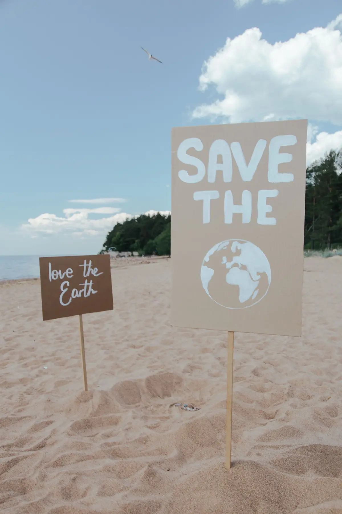 Signs on a beach encouraging people to love and save the Earth